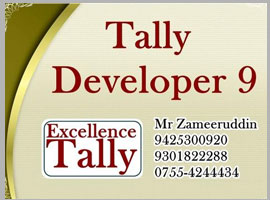Tally Software Singapore